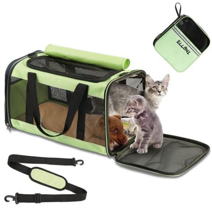 Discovering The Benefits Of A Cat Sack Carrier