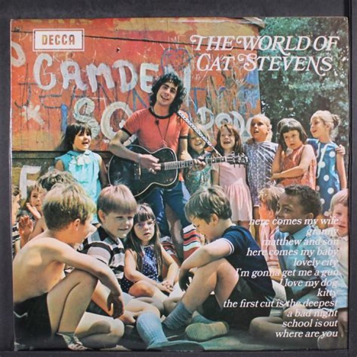 Discovering The World Of Cat MovieHD