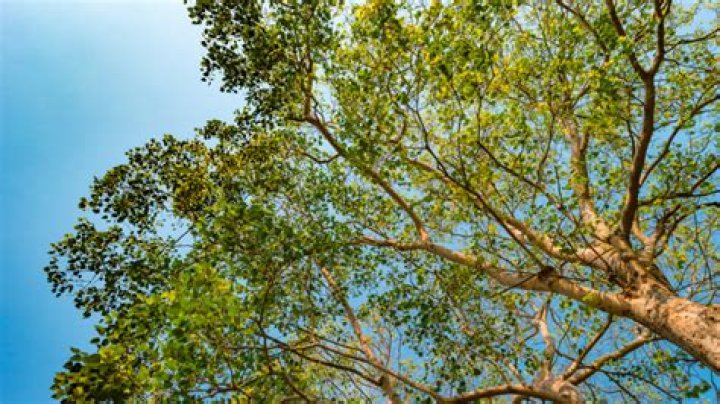 Exploring The Mystique Of Katmo Ieshd