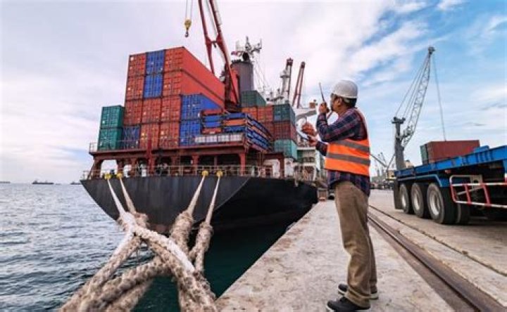 Exploring The World Of Zoeship: A New Era Of Shipping And Logistics