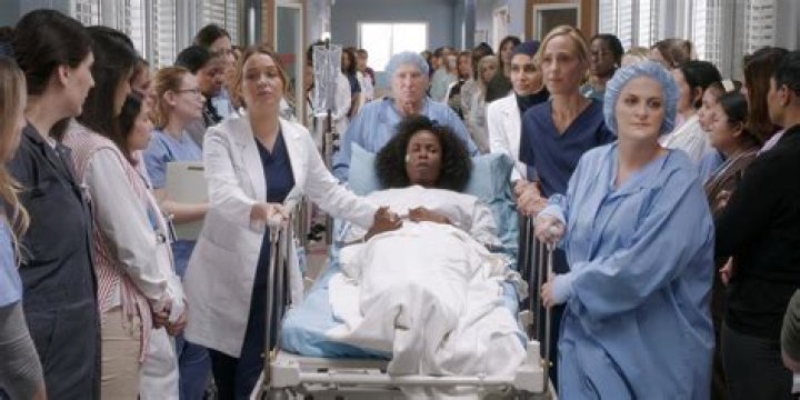 Is Anyone On Grey's Anatomy Actually A Doctor?