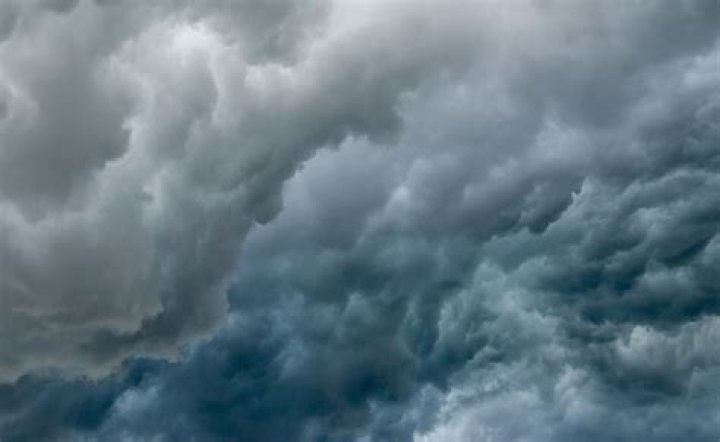 Sophia Spiderman: The Phenomenon Of A New Age Hero