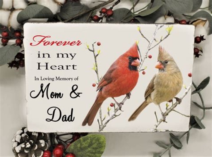 Unforgettable Memories: A Heartfelt Tribute To The Beloved "Cardinal Mom"