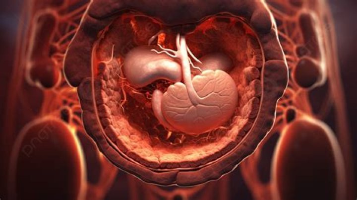Unraveling The Mystery Of Tarrare's Stomach Inside