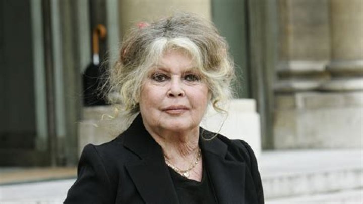 Unveiling The Life Of Brigitte Bardot's Son: A Journey Beyond Fame