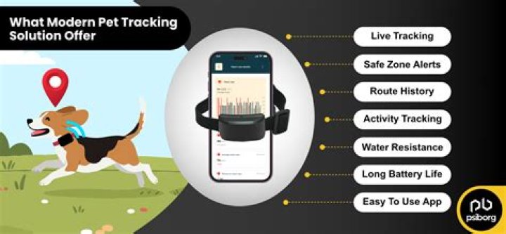 Unveiling The Wonders Of ZooChip: A Revolutionary Pet Tracking Solution