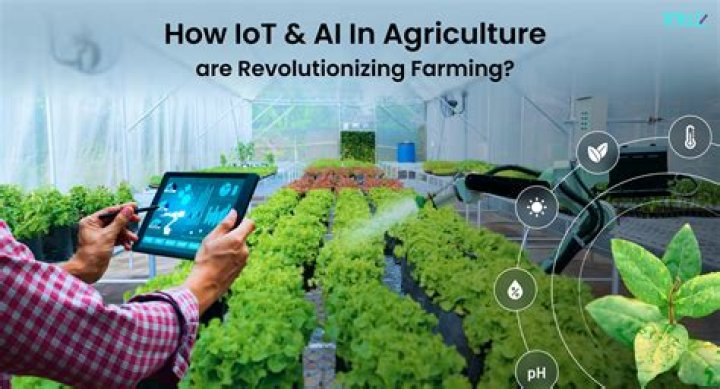 Zeo Chip: Revolutionizing The Tech Landscape